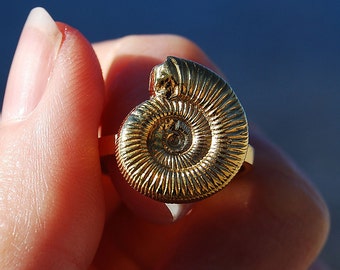 Ammonite fossil ring, sterling silver/gold shell ring, stacking ring, summer ring, holiday ring, beach ring