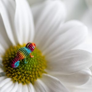 Micro crochet miniature rainbow chameleon tiny crochet animals, tiny stuffed animal figurine. Spring present, Mother's Day gifts image 2