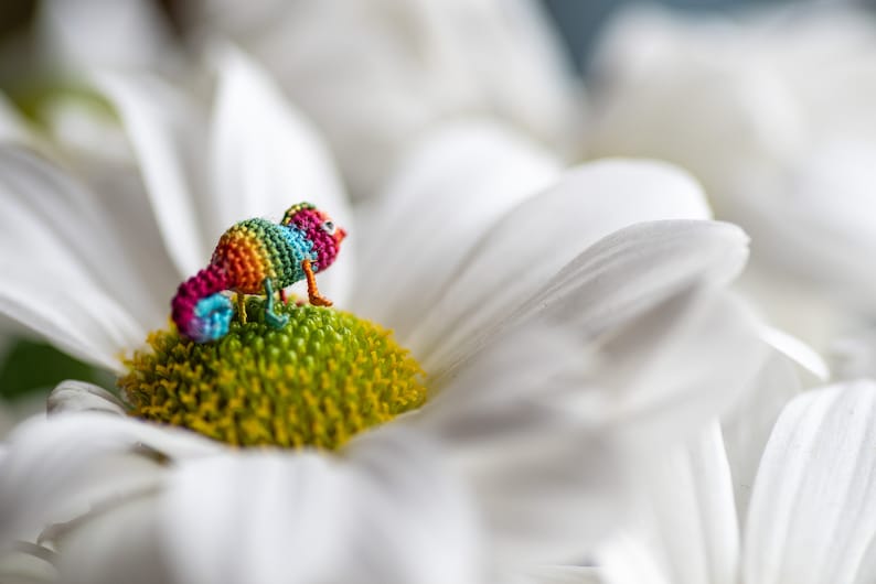 Micro crochet miniature rainbow chameleon tiny crochet animals, tiny stuffed animal figurine. Spring present, Mother's Day gifts image 3
