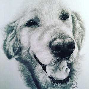 9x12 in. Custom Graphite Pet Portrait from your favorite photo- Commission, Pencil Pet Drawing,Pet Portrait Dog Cat Horse Bird (ect) Picture