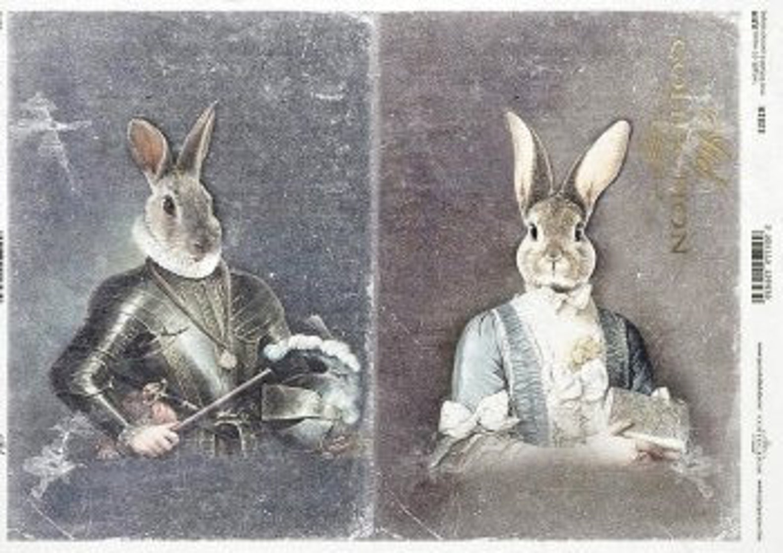 ITD Collection Mr. and Mrs Rabbit Portrait Ll Rice Paper Decoupage A4 ...