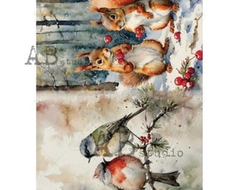 AB Studios Rice Paper I Squirrels & Birds I Rice Paper Decoupage I Size A4 I Furniture Decoupage I Junk Journals I Mixed Media
