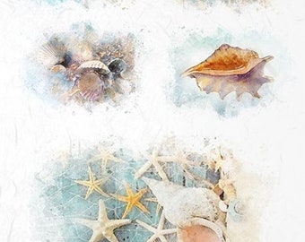 Shells Rice Paper | Etsy