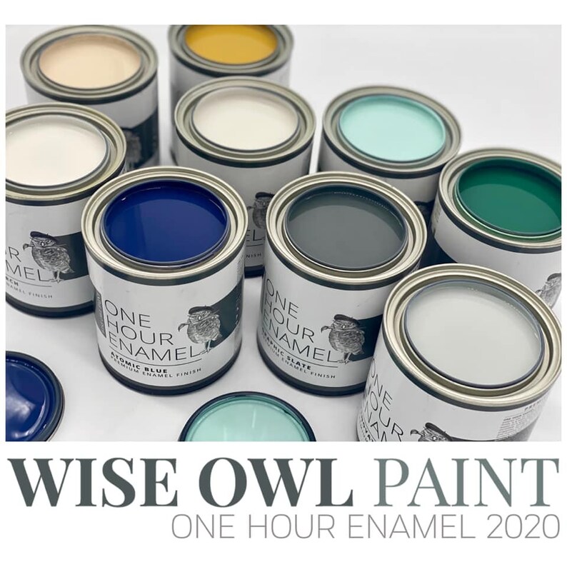 New Release One Hour Enamel Higgins Lake Etsy