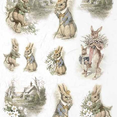 ITD Collection Animal Assortment Rice Decoupage Paper Size A3 - Etsy