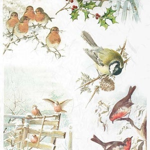 ITD Collection Winter Birds Rice Paper Decoupage A4 for DIY Projects ...