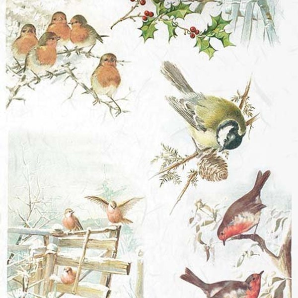 ITD Collection Winter Birds Rice Paper Decoupage A4 for DIY Projects, Scrapbooking, Art Journals, Mixed Media, Collage R1019