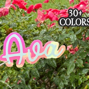May include: A colorful garden stake with the name "Ava" in a layered design, featuring pink, yellow, and blue hues. The stake is held in front of a backdrop of vibrant red roses and green foliage. Text on the stake reads "30+ COLORS".