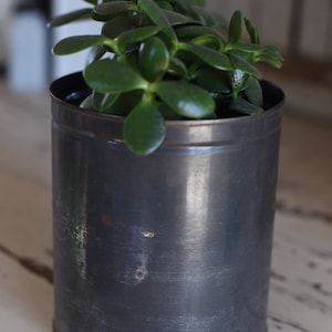Metal Tin / Planter, Vintage, Antique, Garden Decor, Medium Size, Industrial, Plant Gift