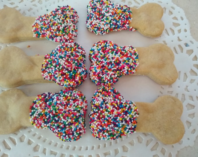 rainbow pareils