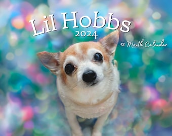 Calendario de pared Lil Hobbs 2024 - 8,5 x 11" (A4), Chihuahua mayor rescatado