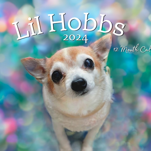 2024 Lil Hobbs Wall Calendar - 8.5 x 11" (A4), Senior Rescue Chihuahua Dog