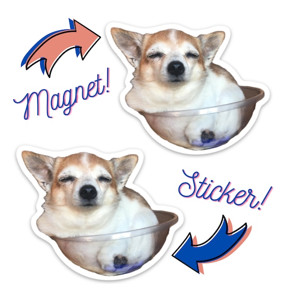 DOG IN A BOWL Magnet & Sticker 2 Pack - Lil Hobbs