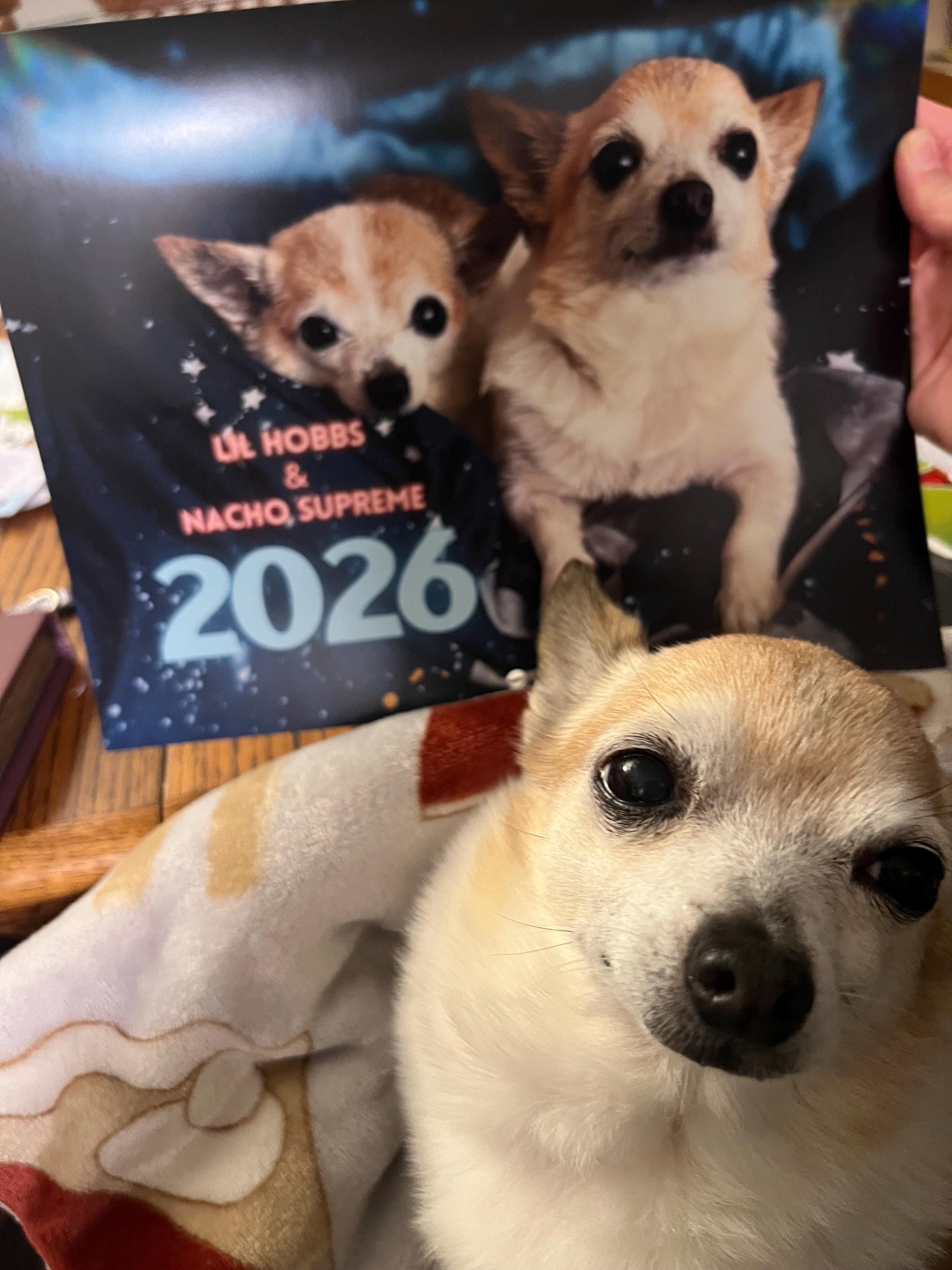 2026 Lil Hobbs and Nacho Supreme Wall Calendar - 8.5 X 11
