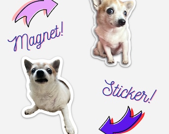 Grumpy and Sweet Chihuahua Magnet & Sticker 2 Pack - Lil Hobbs