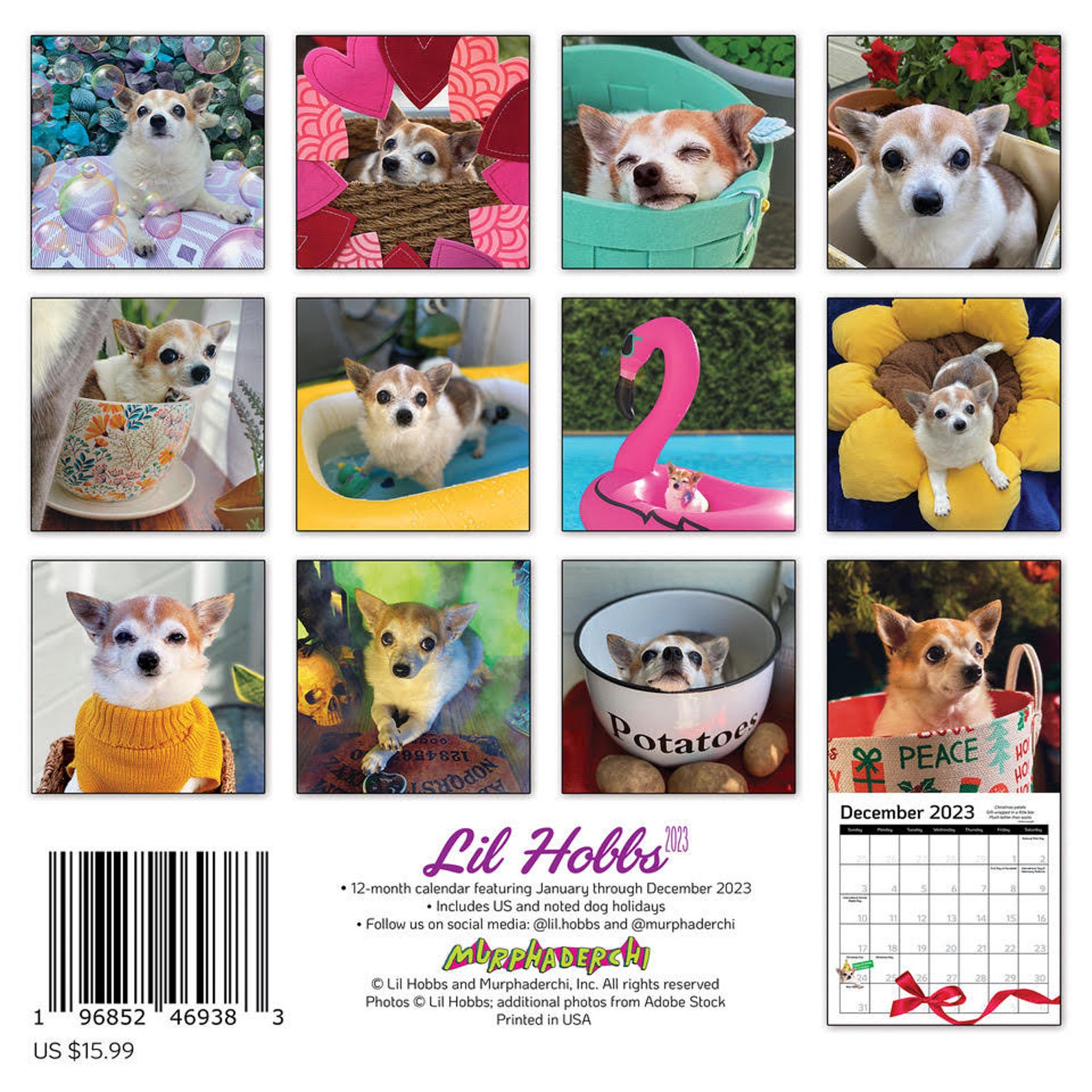 Lil Hobbs 2023 Wall Calendar 12 X 12 Senior Rescue Etsy