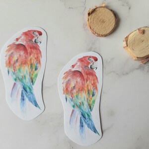 Pegatina de loro Aquarell - Calcomanía de animales coloridos - Etiquetas del planificador - Pegatinas de diario de acuarela - Diseños de pegatinas lindos