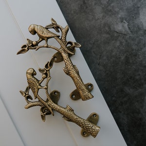 Set of 2 Brass Parrot Door Handle Wardrobe Handle image 1