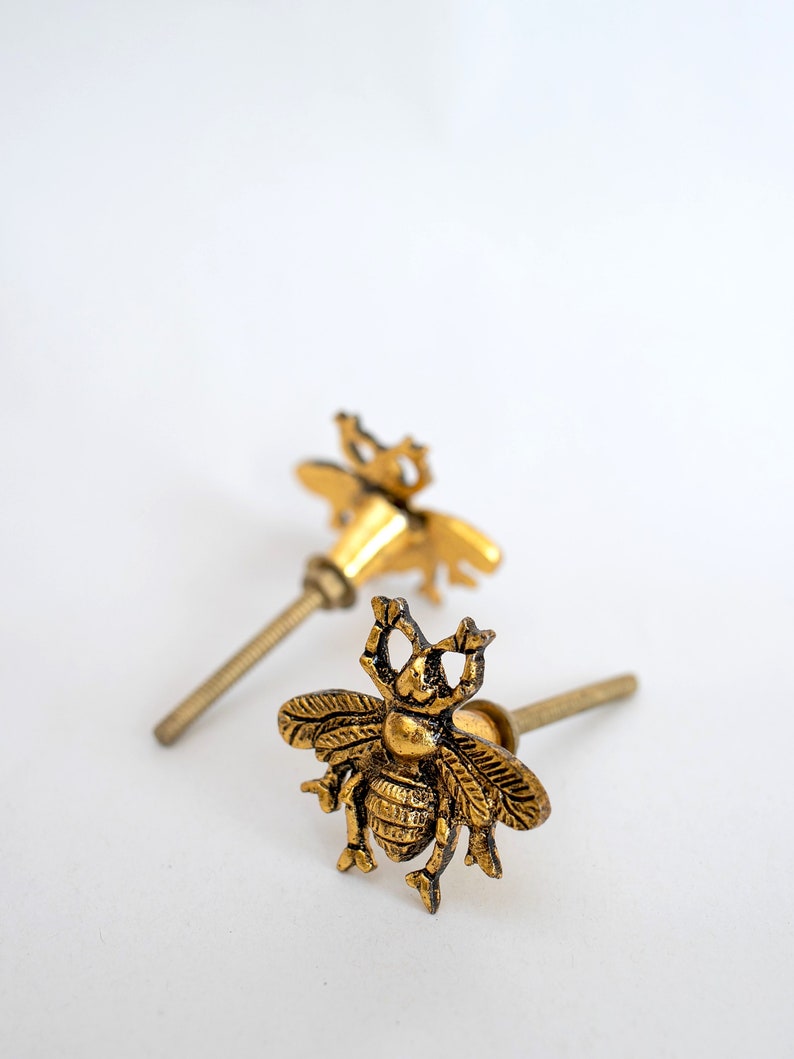 Antique Gold Bumble Bee Drawer Knob Door Cupboard Knob Etsy UK