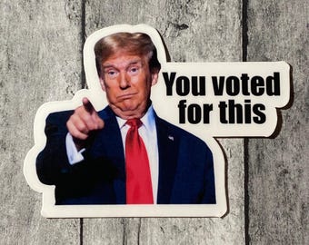 Trump “votaste por esto” PAQUETE DE 12 pegatinas troqueladas resistentes al agua de 6,35 cm
