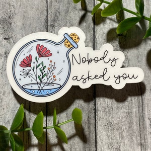 Pretty Funny/sassy/swear saying die-cut water resistant vinyl sticker