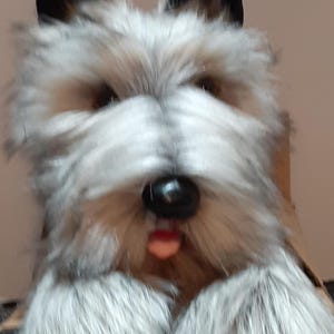 Large, Professional Scottie Puppet CUSTOM ORDER