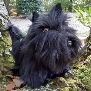 Scottish Terrier-Scottie