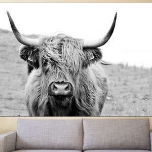 May include: Black and white photograph of a Highland cow with long, shaggy hair. The cow is looking directly at the camera with a serious expression.