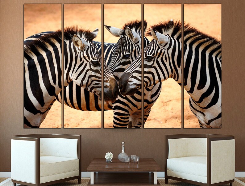 Pode incluir: Tr&ecirc;s zebras est&atilde;o juntas em um campo de areia marrom. As zebras s&atilde;o pretas e brancas com listras. As zebras est&atilde;o olhando uma para a outra.