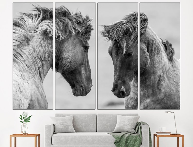 May include: A black and white photograph of two horses facing each other. The horses have long manes and tails, and their heads are lowered as if they are about to touch noses.