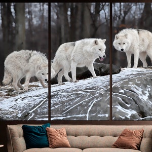 Puede incluir: Tres lobos blancos caminan sobre una superficie rocosa y nevada en un entorno boscoso. Los lobos est&aacute;n en fila, con el lobo de atr&aacute;s mirando a la c&aacute;mara.
