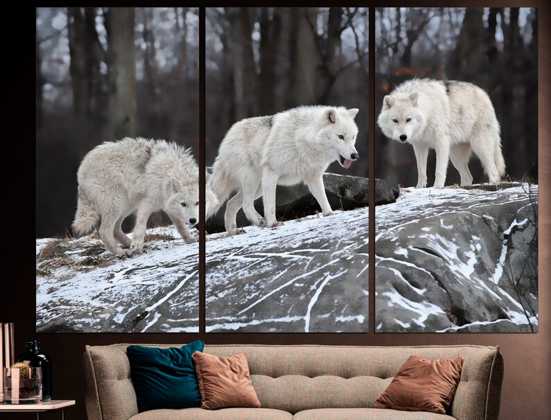 Puede incluir: Tres lobos blancos caminan sobre una superficie rocosa y nevada en un entorno boscoso. Los lobos est&aacute;n en fila, con el lobo de atr&aacute;s mirando a la c&aacute;mara.
