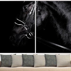 May include: A black horse's head with a bridle, photographed in a dark studio setting. The horse's eye is visible, and the bridle is made of leather with metal buckles.