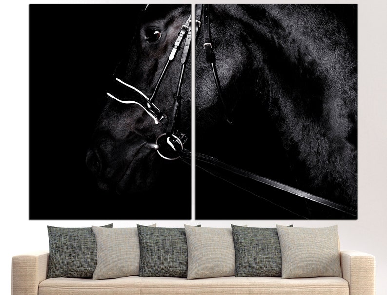May include: A black horse's head with a bridle, photographed in a dark studio setting. The horse's eye is visible, and the bridle is made of leather with metal buckles.