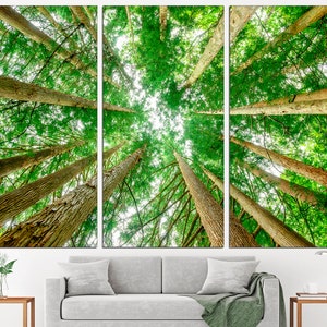 Branches Wall Art Tree Branches Abstract Tree Nature Wall Art Tree Branch Wall Art  Forest Canvas Art Tree Print