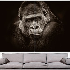May include: A close-up black and white photograph of a gorilla's face. The gorilla is looking directly at the camera with a serious expression. The background is dark.