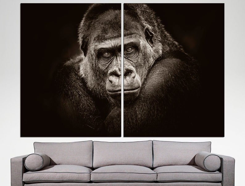 May include: A close-up black and white photograph of a gorilla's face. The gorilla is looking directly at the camera with a serious expression. The background is dark.