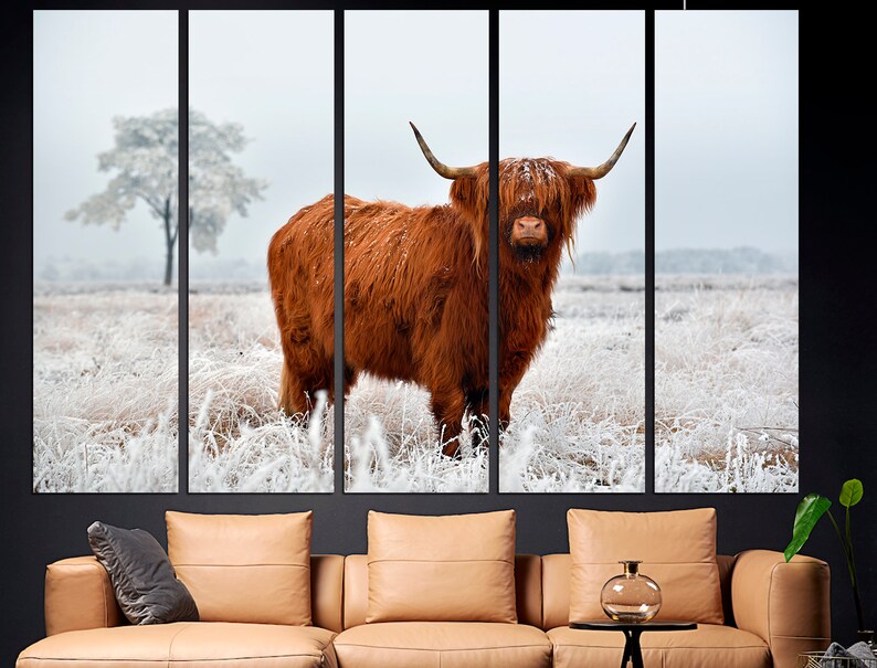 K&ouml;nnte beinhalten: Eine braune Highland-Kuh steht auf einem schneebedeckten Feld. Die Kuh hat langes, zotteliges Fell und gro&szlig;e H&ouml;rner. Das Feld ist mit Frost und Schnee bedeckt.
