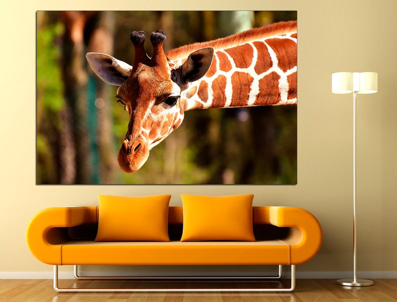 May include: A close-up of a giraffe's head and neck, with a blurred background of trees. The giraffe has a brown and white patterned coat and is looking directly at the camera.