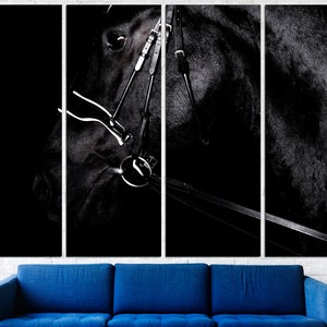 May include: A black horse's head with a bridle, photographed in black and white. The horse's eye is visible, and the bridle is in focus.