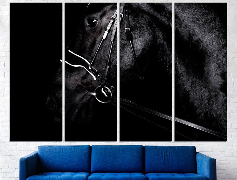 May include: A black horse's head with a bridle, photographed in black and white. The horse's eye is visible, and the bridle is in focus.