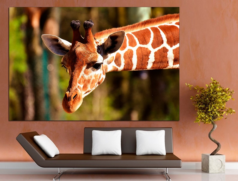 May include: A close-up of a giraffe's head and neck. The giraffe has a brown and white patterned coat. The giraffe's head is tilted slightly to the side, and its eyes are looking directly at the camera.