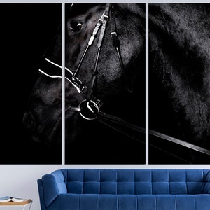 May include: A black and white photo of a horse's head with a bridle. The horse is in the dark, and only its head is visible. The bridle is made of leather and has a metal bit.