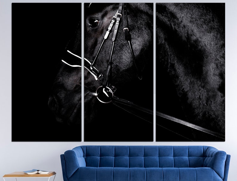 May include: A black and white photo of a horse's head with a bridle. The horse is in the dark, and only its head is visible. The bridle is made of leather and has a metal bit.