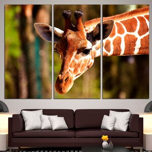 May include: A close-up of a giraffe's head and neck. The giraffe has a brown and white patterned coat. The giraffe's head is tilted to the side, and its eyes are closed. The background is blurred, and there are green trees in the distance.