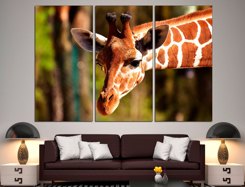 May include: A close-up of a giraffe's head and neck. The giraffe has a brown and white patterned coat. The giraffe's head is tilted to the side, and its eyes are closed. The background is blurred, and there are green trees in the distance.