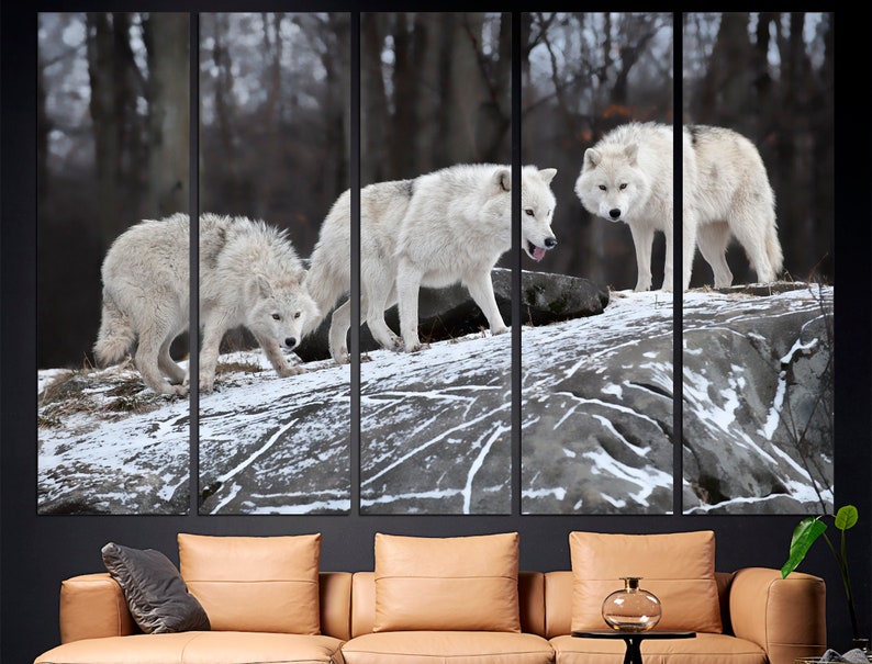 Puede incluir: Tres lobos blancos caminan sobre una superficie rocosa y nevada en un entorno boscoso. Los lobos est&aacute;n en fila, con el de atr&aacute;s mirando a la c&aacute;mara.