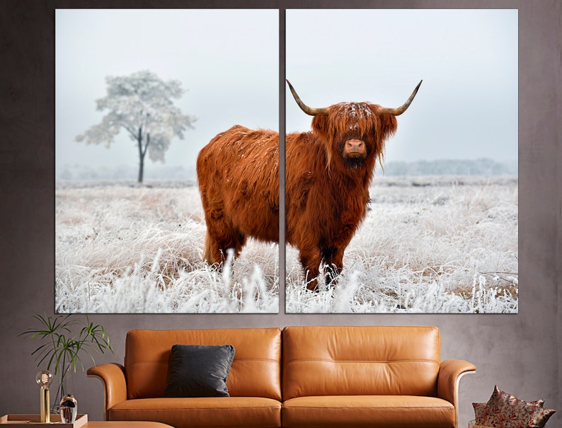 K&ouml;nnte beinhalten: Eine rotbraune Highland-Kuh steht auf einem schneebedeckten Feld. Die Kuh hat langes, zotteliges Fell und gro&szlig;e H&ouml;rner. Das Feld ist mit einer Schicht Frost bedeckt.