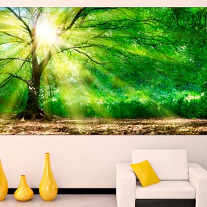 May include: A large canvas print depicting a verdant forest with a solitary tree in the centre. Sunlight beams through the foliage, creating a bright and airy ambience.