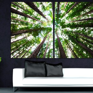 May include: A split canvas print featuring a view of tall trees from below, with the sky visible through the branches. The trees are green and the sky is blue.